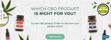 Endoca Best marketing tool For 2024